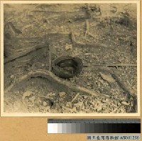 藏品(蚊子孳生源(椰子殼))的圖片